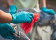 medical disposal waste