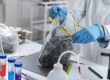medical disposal waste
